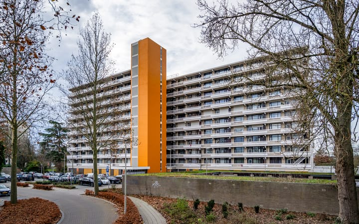 Foto 42 van de Koppele 245