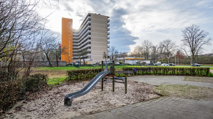 Foto 43 van de Koppele 245