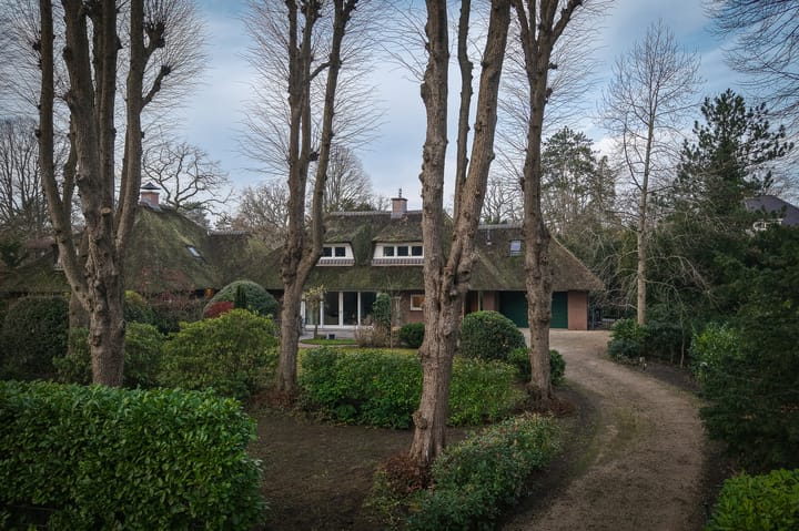 Zuidlaan 12 main image