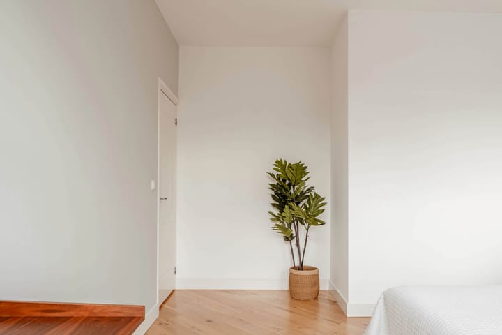 Foto 18 van Dusartstraat 56-3