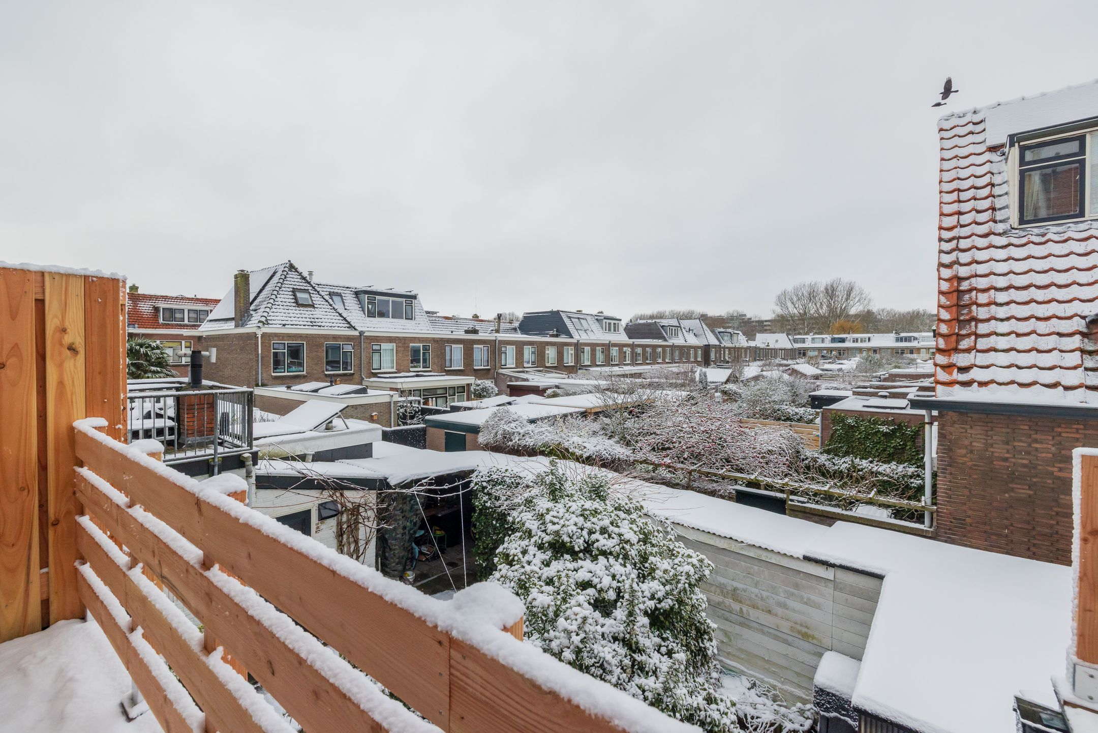 Foto 21 van Tesselschadestraat 32-A