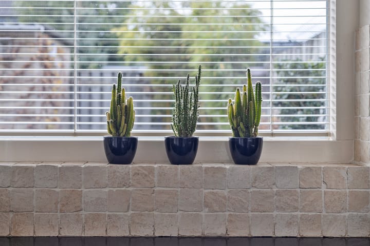 Foto 24 van Wapendragerstraat 8