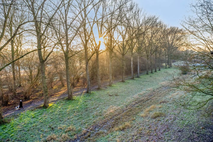 Foto 22 van Berkenlaan 191