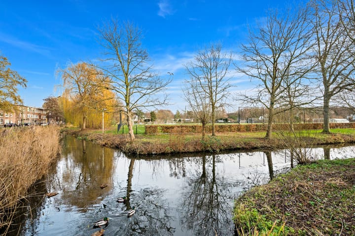 Foto 35 van Sinjeur Semeynsweg 227