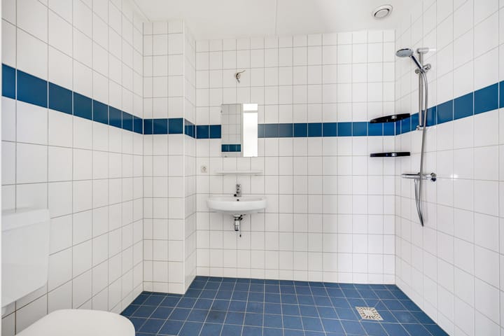 Foto 17 van Hoornwerk 96