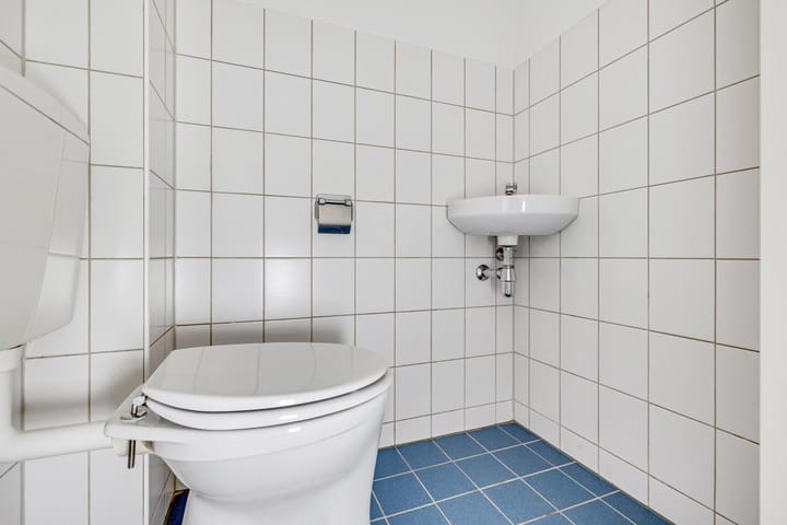 Foto 11 van Hoornwerk 96