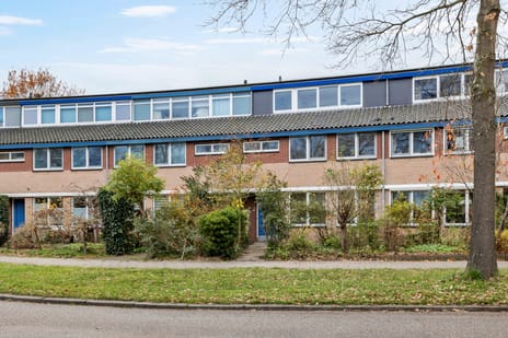 Natuursteenlaan thumbnail