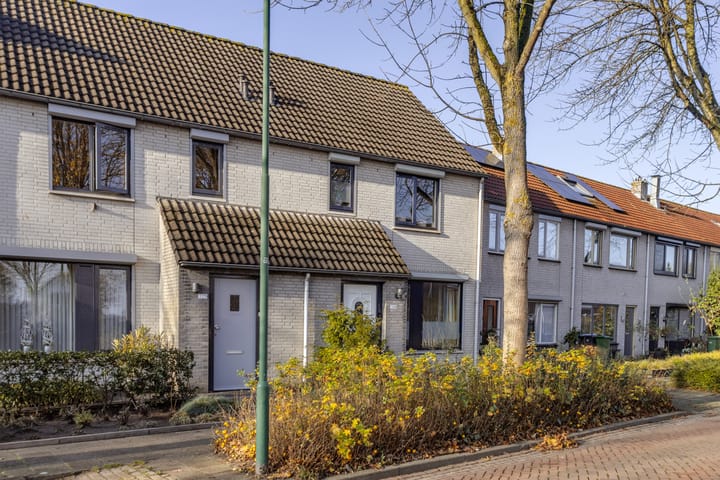 Foto 3 van Zaaren 218