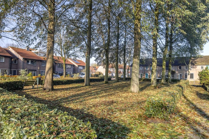 Foto 5 van Zaaren 218