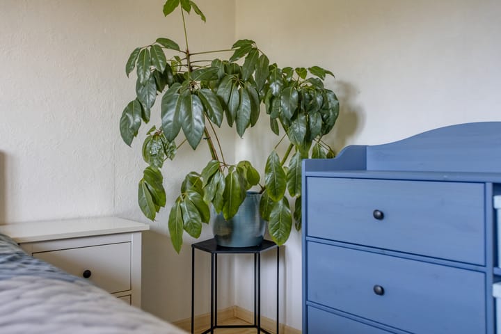 Foto 38 van Zaaren 218