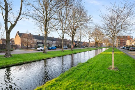 J A Beyerinkstraat 81 tertiary image