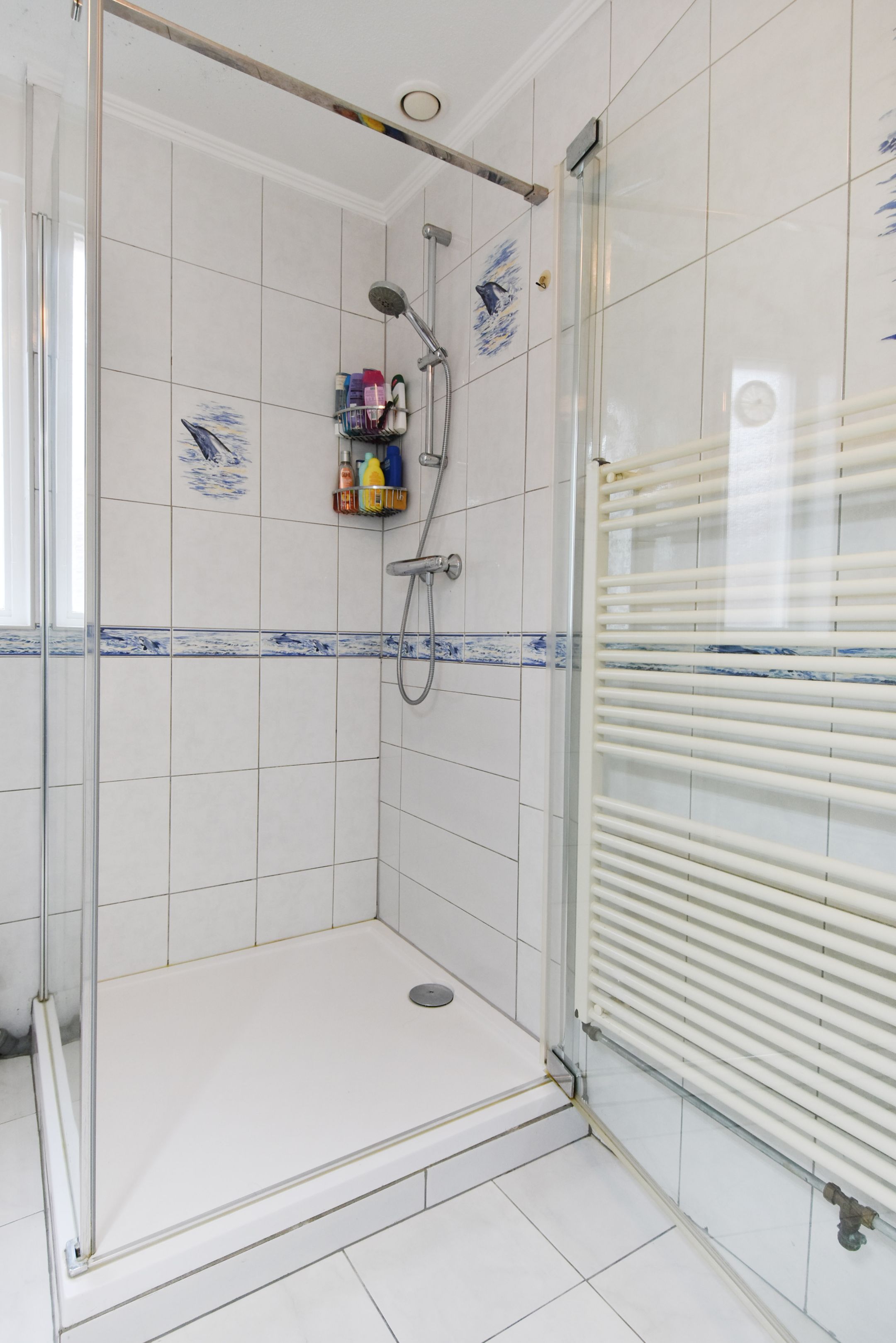 Foto 27 van Brueghelstraat 228