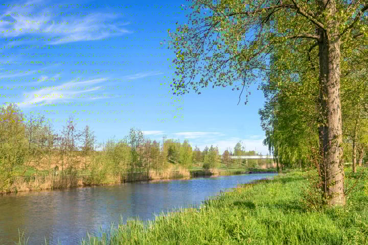 Foto 5 van Smetanalaan 78