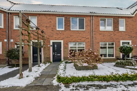 In het Veld thumbnail