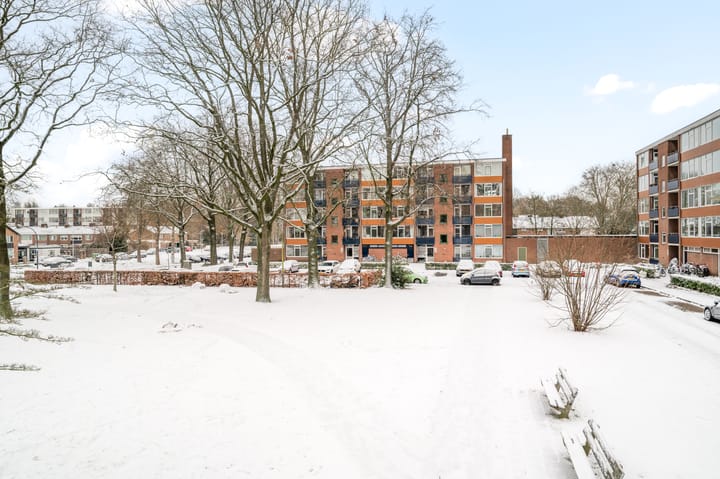 Foto 24 van Lingestraat 106