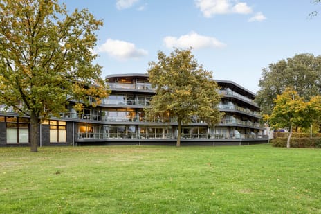 Bevrijdingshof thumbnail