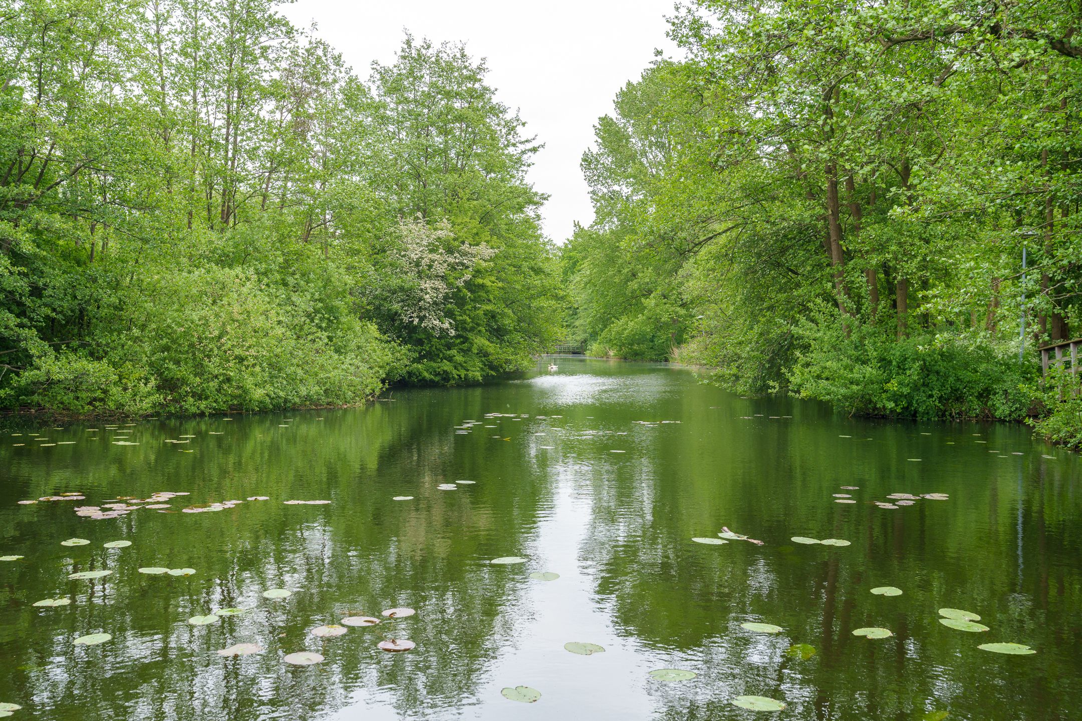 Foto 36 van Wageningseberg 170