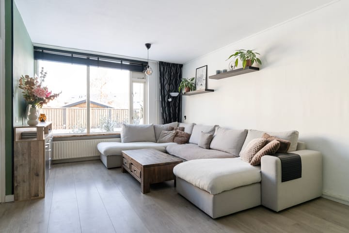 Foto 2 van Duizendblad 3