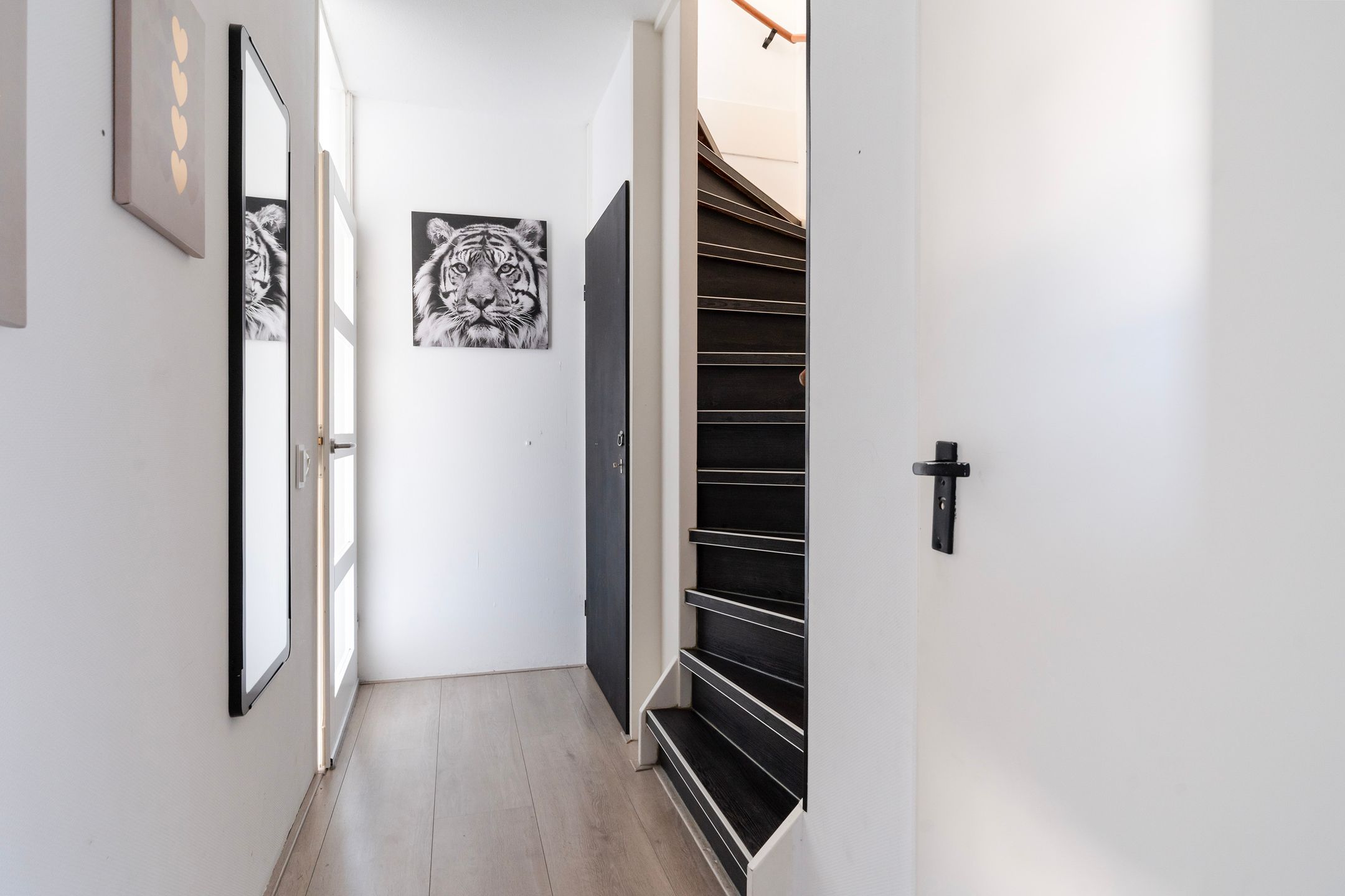 Photo 18 of Duizendblad 3