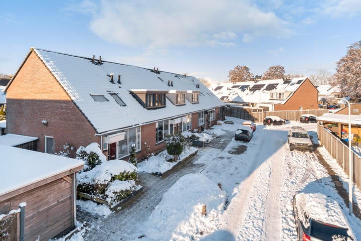 Foto 37 van Duizendblad 3