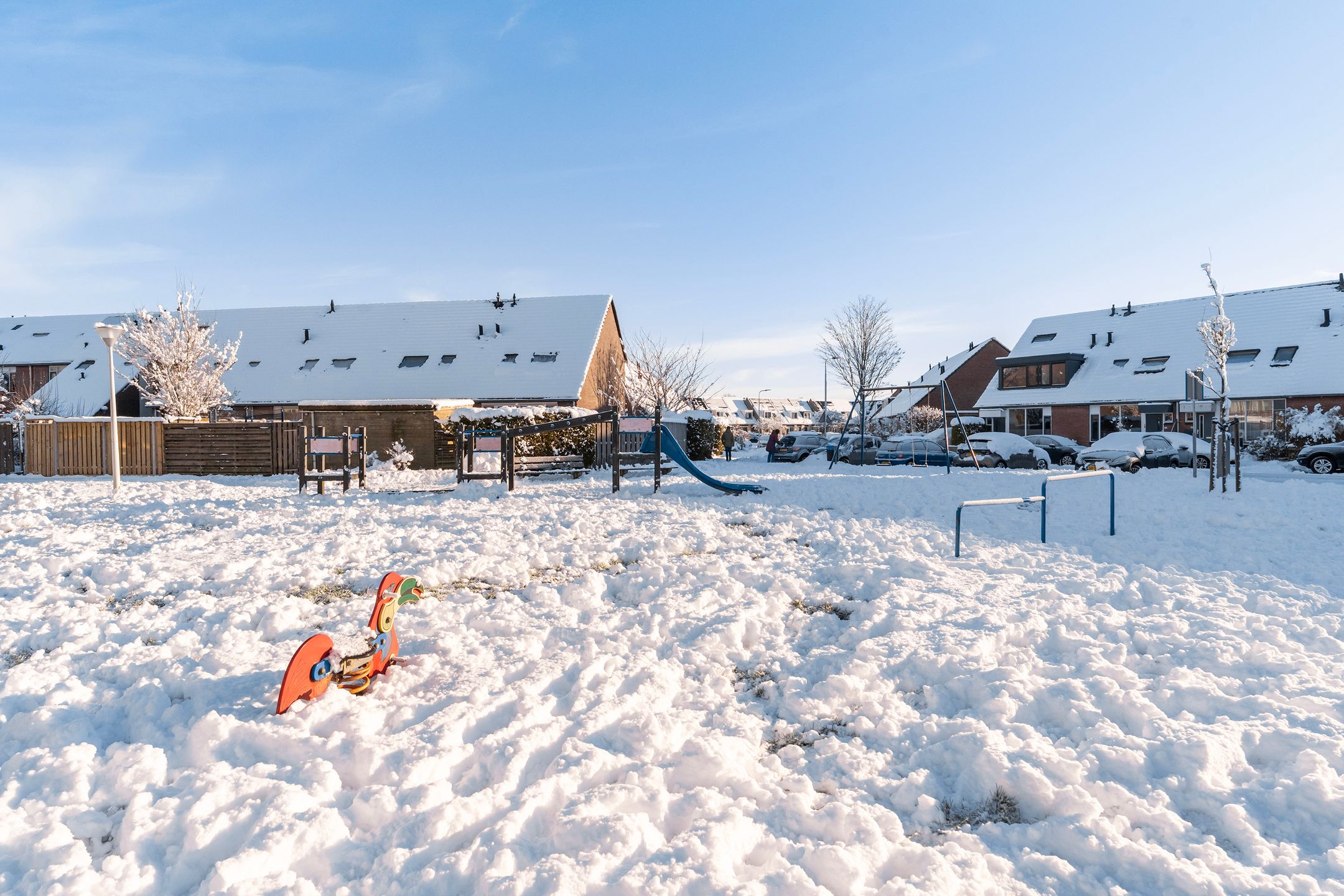 Photo 42 of Duizendblad 3