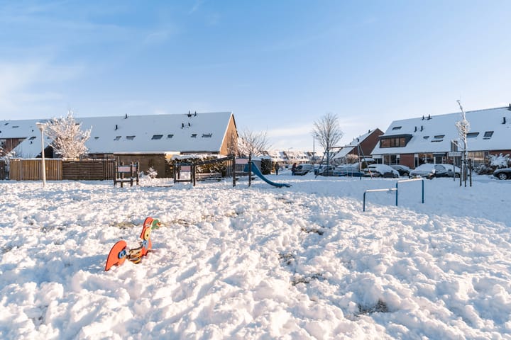 Foto 42 van Duizendblad 3