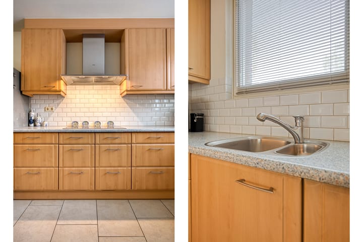 Photo 17 of Zandroos 1