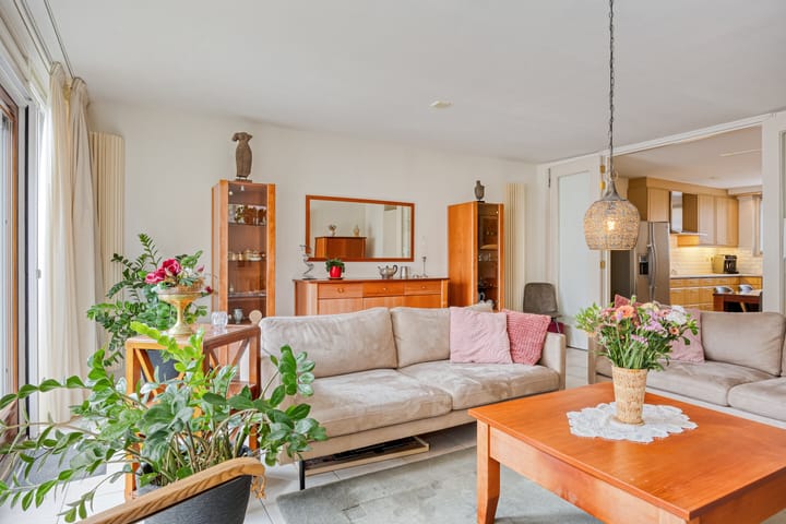 Photo 12 of Zandroos 1