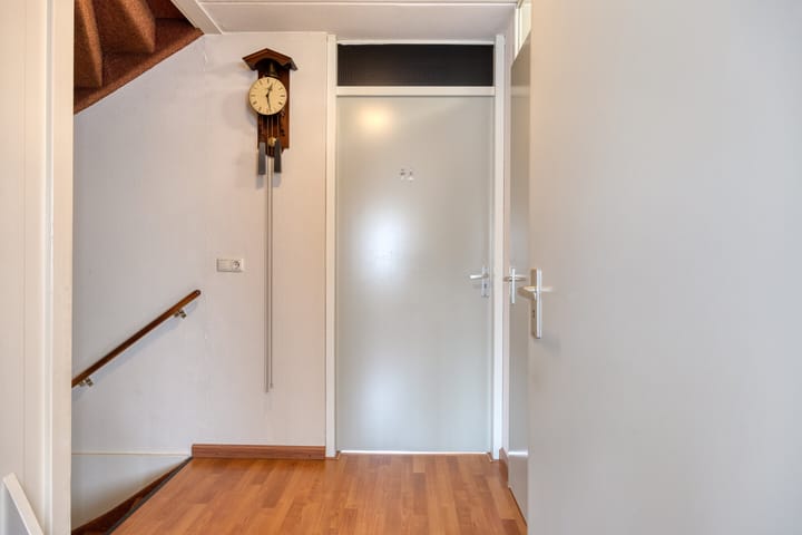 Photo 19 of Zandroos 1