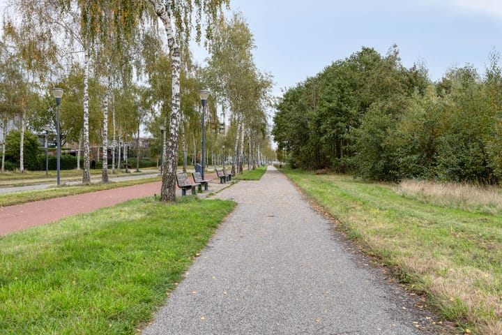 Photo 43 of Zandroos 1