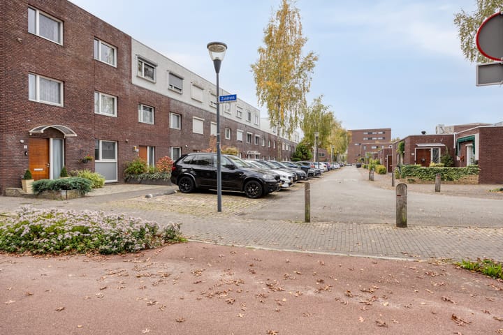 Photo 7 of Zandroos 1