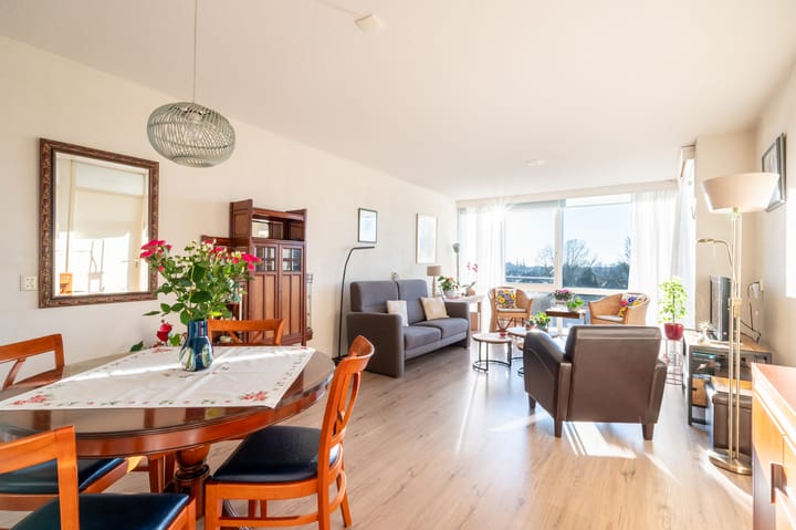 Foto 4 van Laan van de Mensenrechten 348