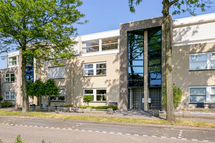 Madeliefberg 61 main image