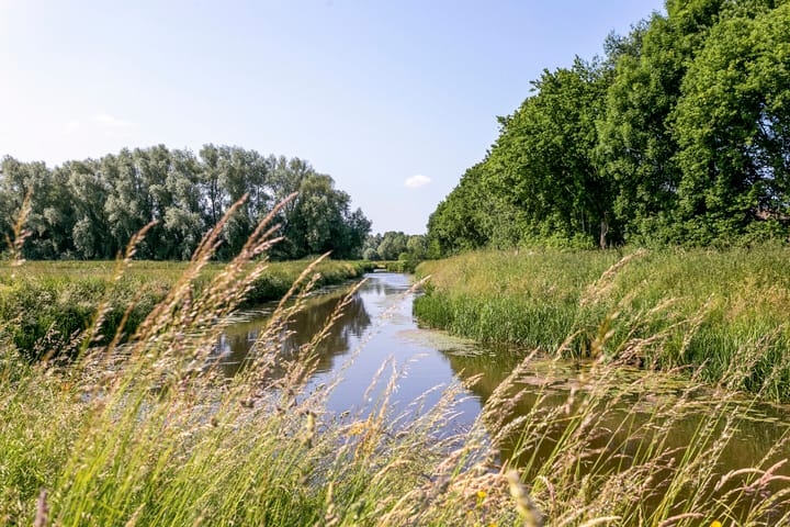 Foto 35 van Madeliefberg 61