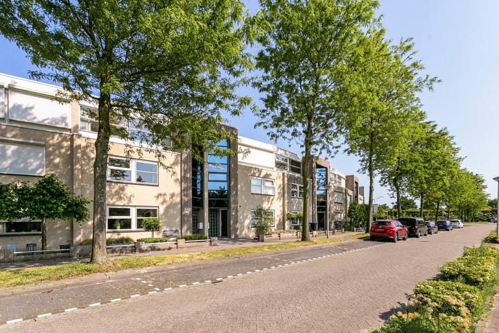 Foto 37 van Madeliefberg 61