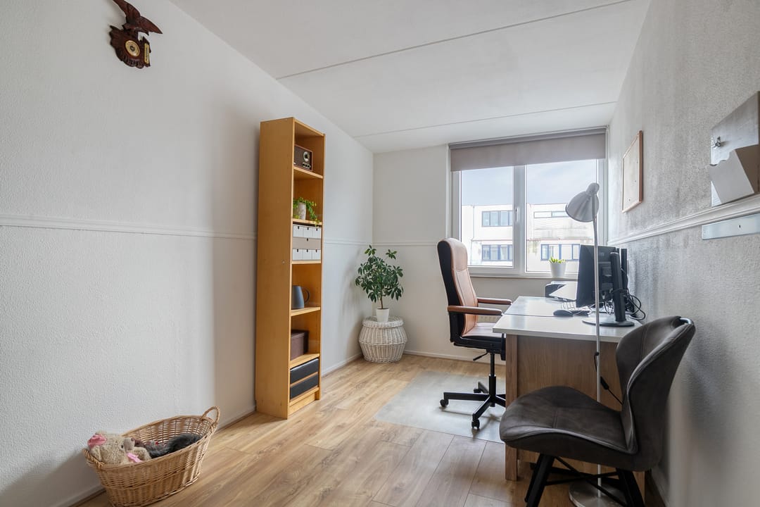 Photo 23 of Gangboord 24