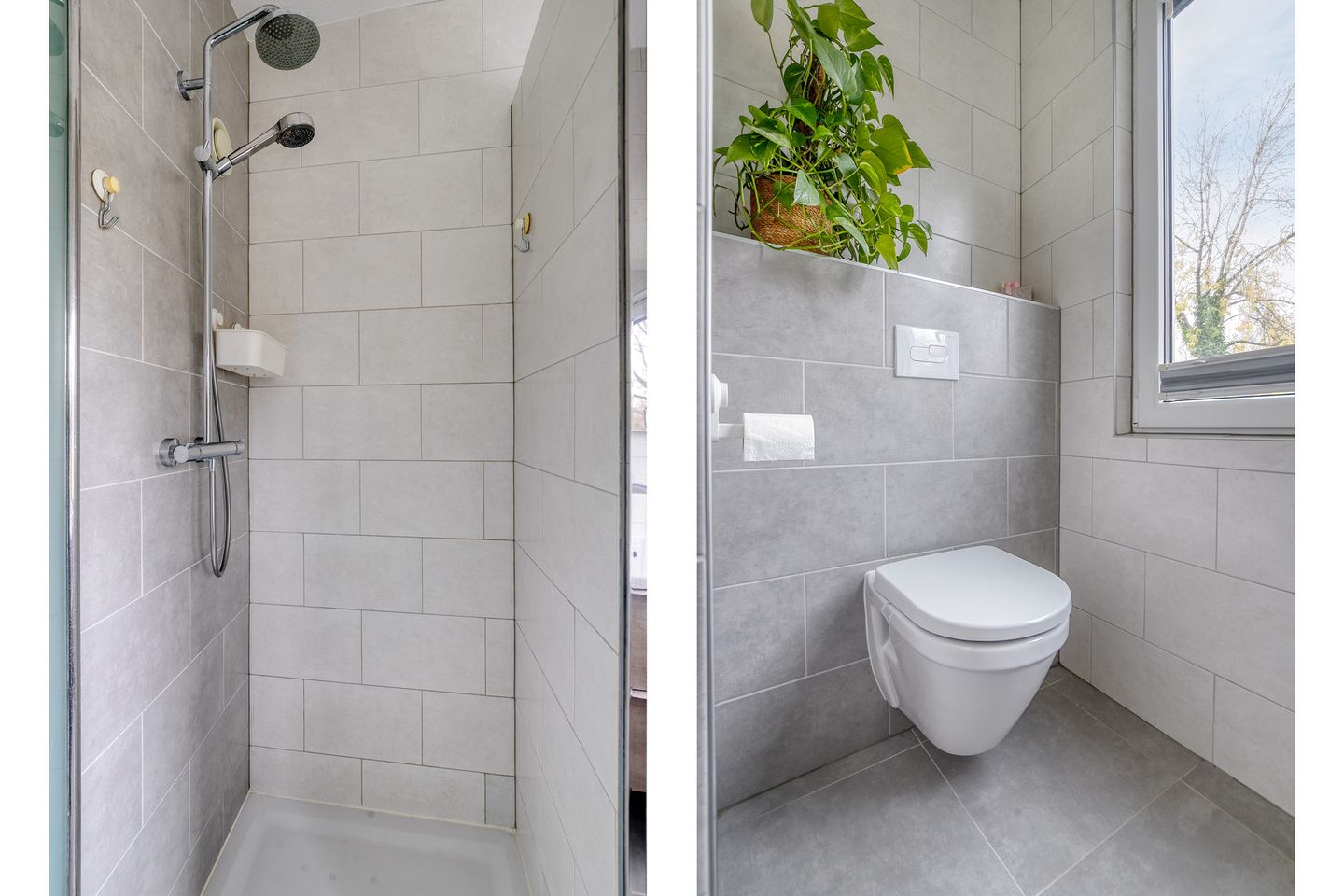 Photo 29 of Gangboord 24