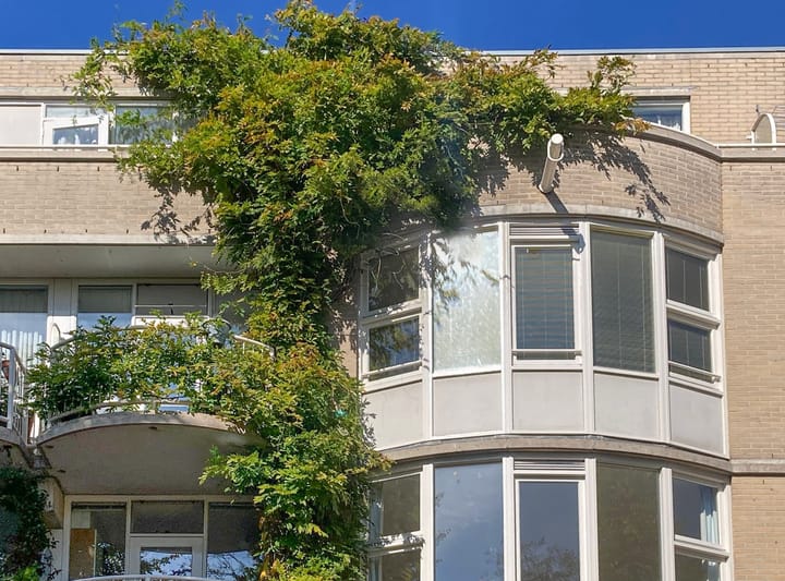 Foto 21 van Waaigat 15