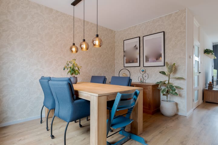 Foto 19 van de Haanstraat 10