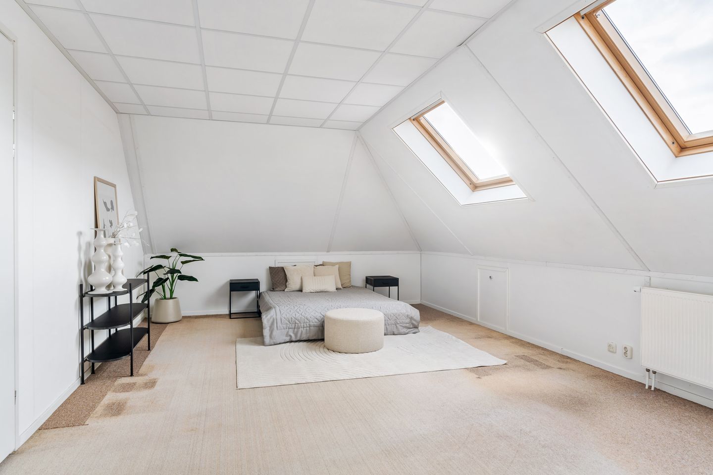 Foto 40 van Mienskar 24