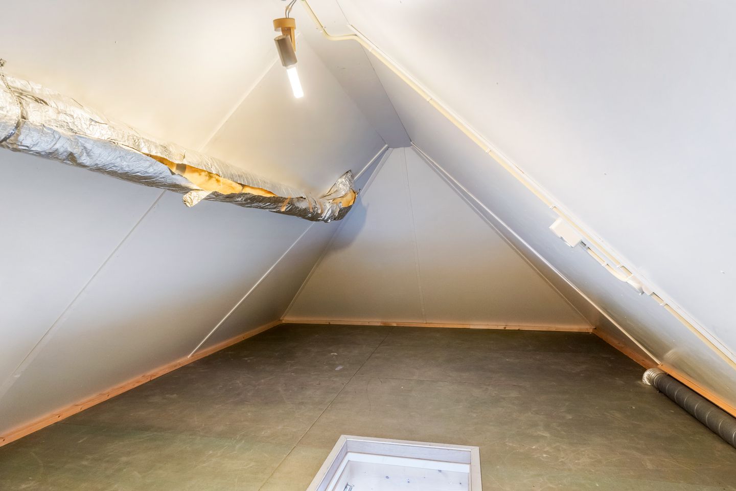 Foto 50 van Mienskar 24