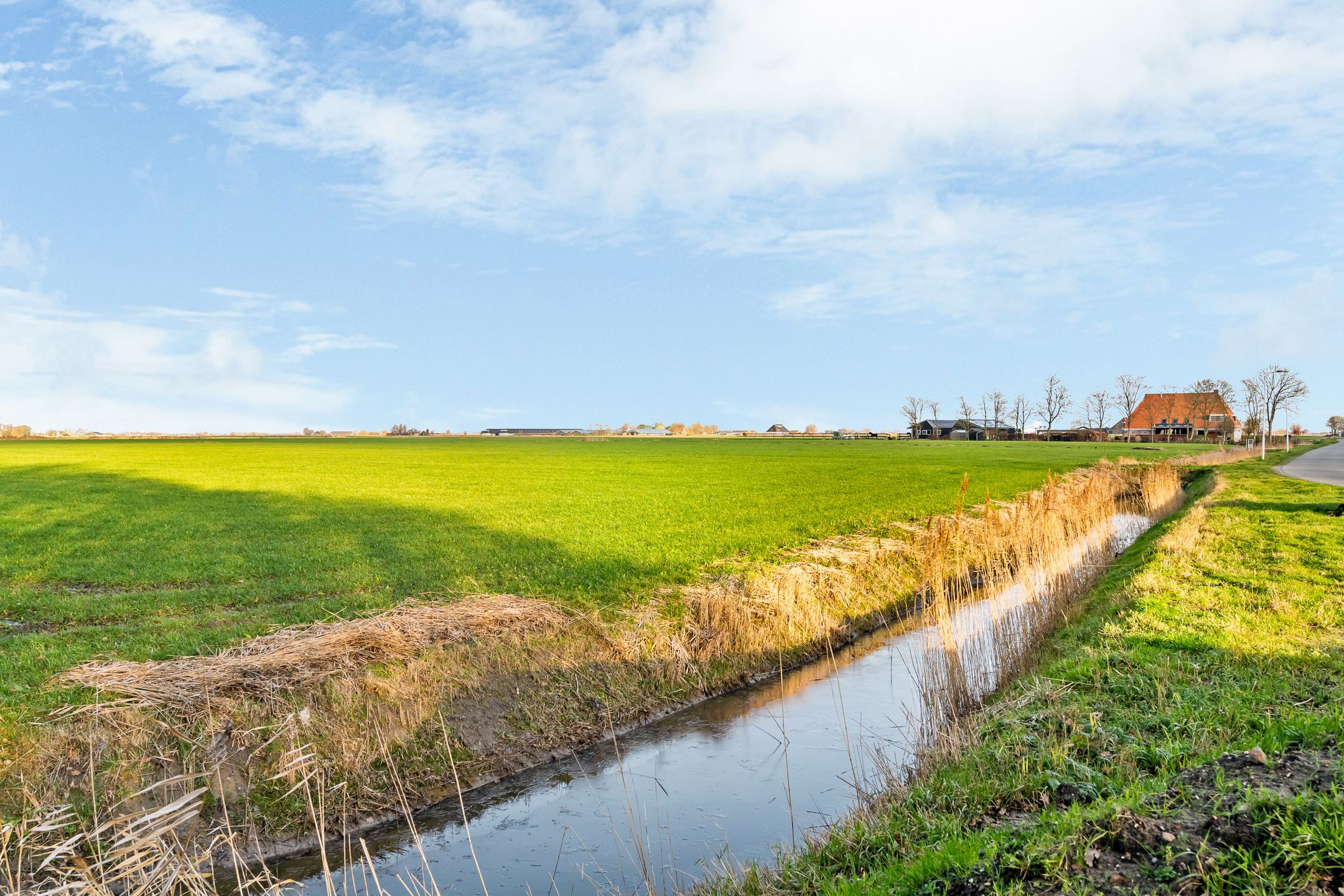 Foto 51 van Mienskar 24