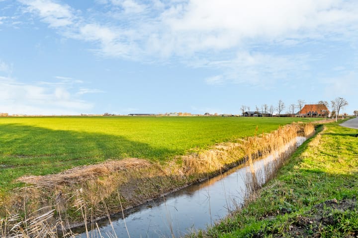 Foto 51 van Mienskar 24