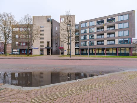 Berglaan 14-14 tertiary image