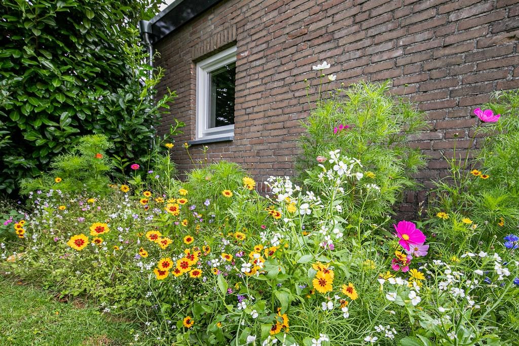 Foto 64 van Julianastraat 35