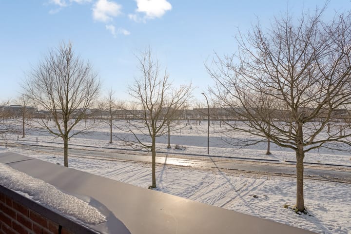 Foto 40 van Elvis Presleylaan 145