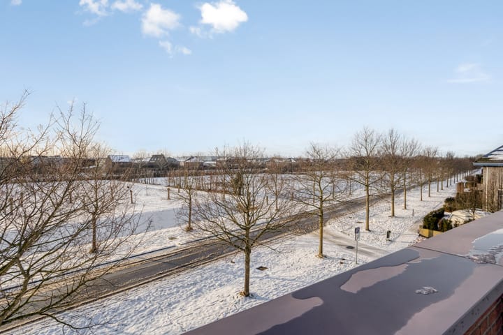 Foto 50 van Elvis Presleylaan 145