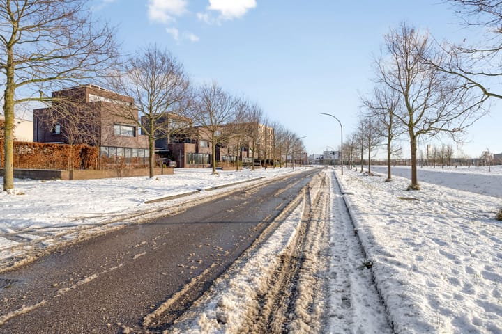 Foto 71 van Elvis Presleylaan 145