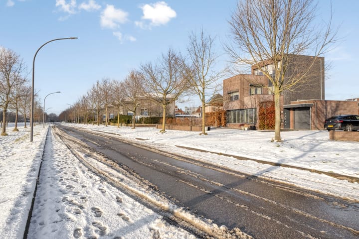 Foto 72 van Elvis Presleylaan 145