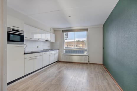 Zaailand 21 tertiary image